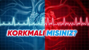 Kalp Atışlarımızı Neden Bazen Farklı Yerlerde Hissederiz?