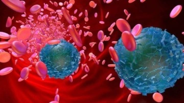 Kalp, Beyin ve Bacaklardaki Kan Pıhtılarda Mikroplastik İzi