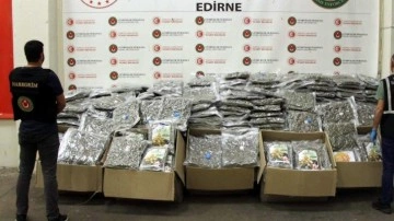 Kapıkule'de TIR'da 370 kilo esrar ele geçirildi