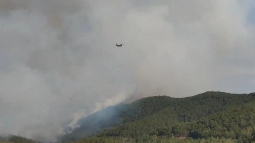 Karabük’te orman yangını 2’nci gününde! Alevler Kastamonu'ya sıçradı