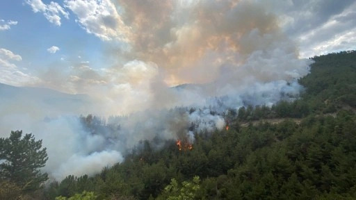 Karabük'te orman yangınına müdahale sürüyor