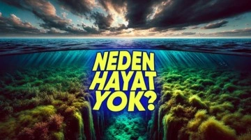 Karadeniz’in Derinliklerinde Neden Canlı Yaşayamıyor?