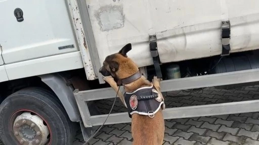 Kocaeli’nde 397 bin sentetik ecza hap ele geçirildi; 1 kişi tutuklandı