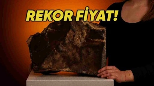 Mars'tan Dünya'ya Düşen Gök Taşı Dudak Uçuklatan Rakama Satıldı