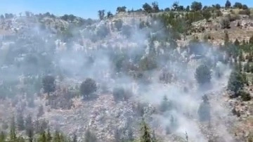 Mersin'de orman yangını