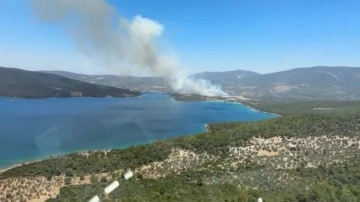 Muğla'da orman yangını