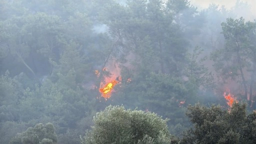Muğla'da ve Antalya'da orman yangını