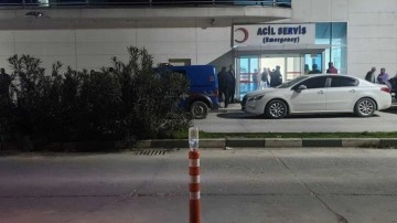 Muhtarlık seçiminde akrabasını desteklemeyen kuzenlerine tüfekle ateş açtılar