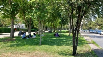 Parkta dinlendiği ağacın altında başına yorgun mermi isabet etti