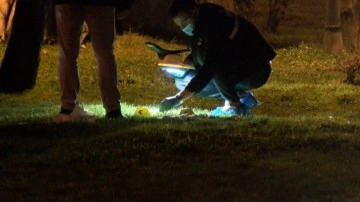 Parkta korkunç olay. Kediler çöpü karıştırınca ortaya çıktı. Poşet içinde cenin bulundu