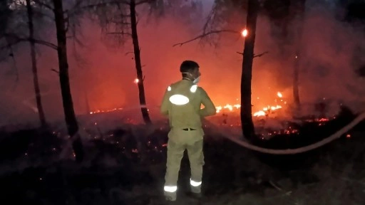 Sakarya'daki feci yangında evler kül oldu