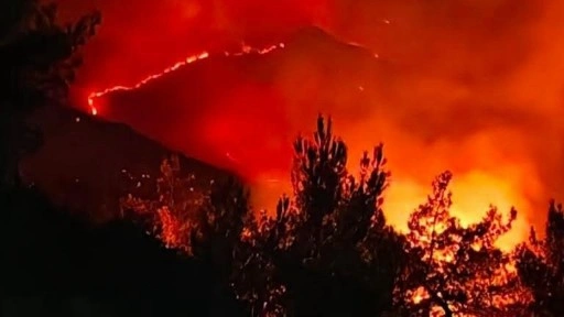 Sakarya'daki orman yangını 2'nci gününde
