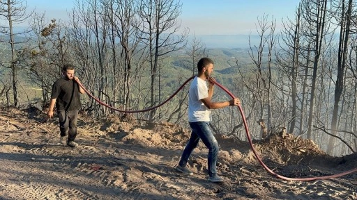 Sakarya'daki orman yangını kısmen kontrol altına alındı