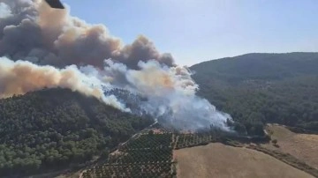 Selçuk'ta çıkan orman yangını Kuşadası'na da sıçradı