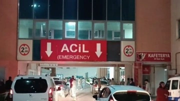 Silvan'da gölete düşen kadın hayatını kaybetti