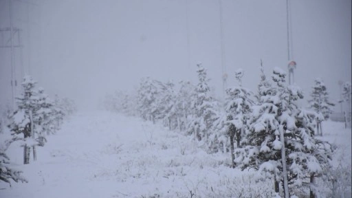 Sivas kara teslim oldu