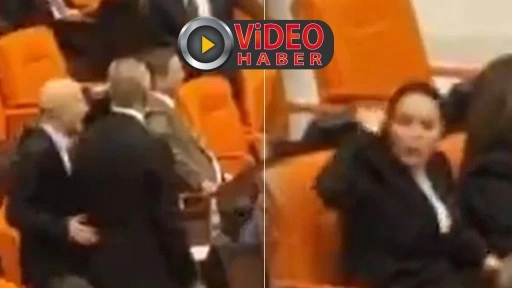 TBMM Genel Kurulu'nda Ayyüce Türkeş ve Sırrı Sakık birbirine girdi