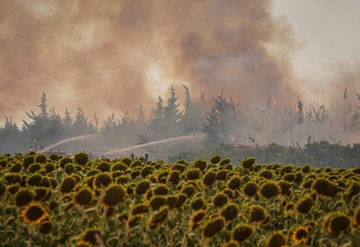 Tekirdağ'da çıkan orman yangını Çanakkale'ye sıçradı