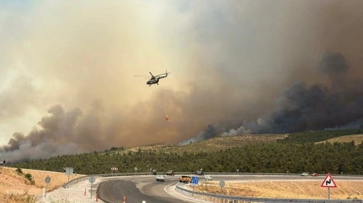 Türkiye'de iki günde 68 orman yangını çıktı