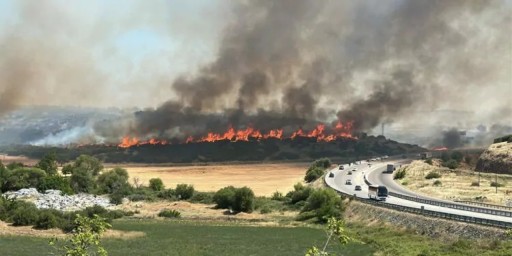 Türkiye’de orman yangınları:Son iki günde ülke genelinde 150 yangın çıktı