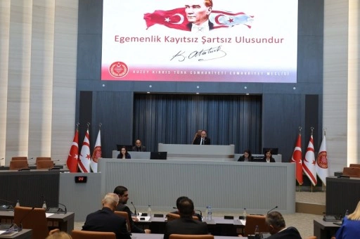 Yol ve trafik suçlarının davasız çözümüne ilişkin yasa tasarısı oy birliğiyle kabul edildi