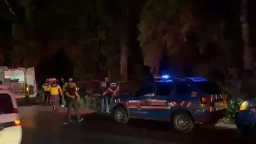Yoldan çıkan otomobil ağaçlık alana düştü: 2 ölü