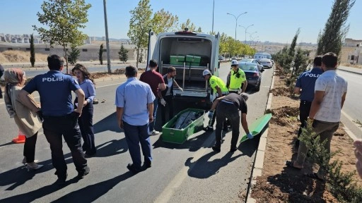 Yolun karşısına geçmeye çalışırken canından oldu