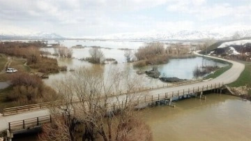 Yüksekova'da sağanak! Ova göle döndü